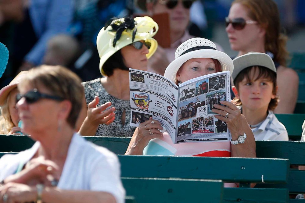 Studying up on the ponies.