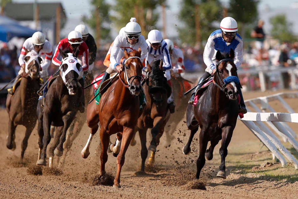 Right! There were also horses as well as hats. Here Chavion Chow on Eaglebine (right) leads into the first bend.