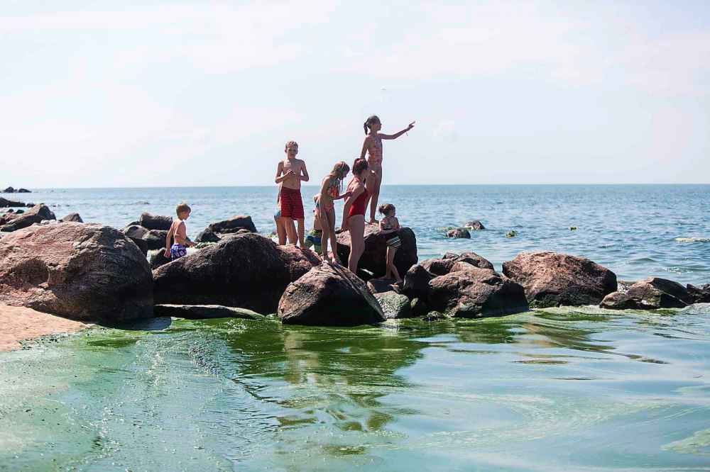 Kids play on the rocks by the algae bloom at Connaught Beach.