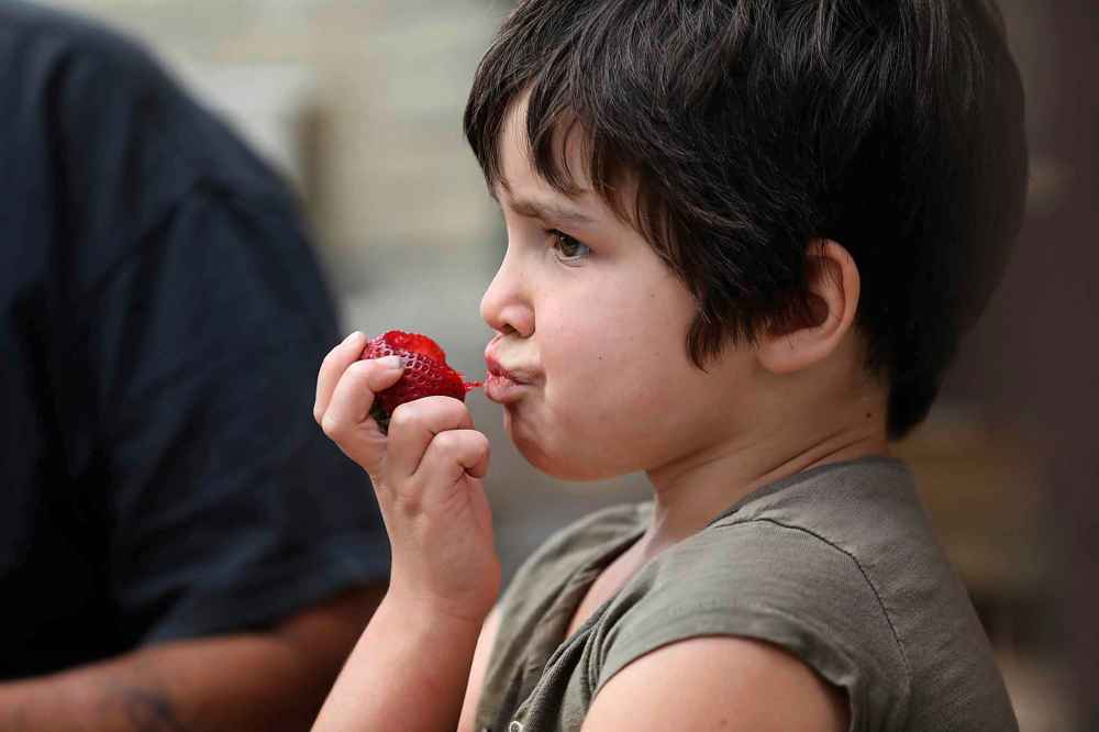 Hela Hall, 4 enjoys a strawberry while hanging out with her mom Rex Gosselin at the market.
