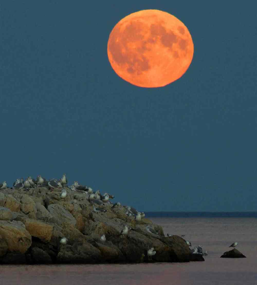 Gimli, Manitoba- The super moon rises over Lake Winnipeg. September 27, 2015 (JOE BRYKSA / WINNIPEG FREE PRESS)