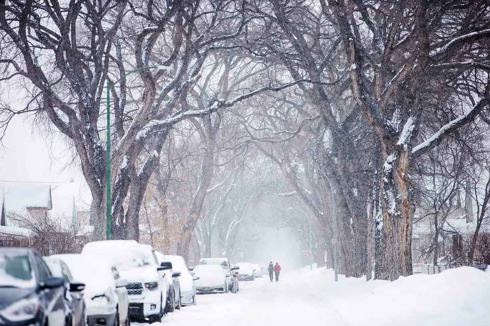 MIKAELA MACKENZIE / WINNIPEG FREE PRESS
Ahmad Alhassan (left) and Mohamad Hasan walk in the street to avoid the snowy sidewalks in the city.