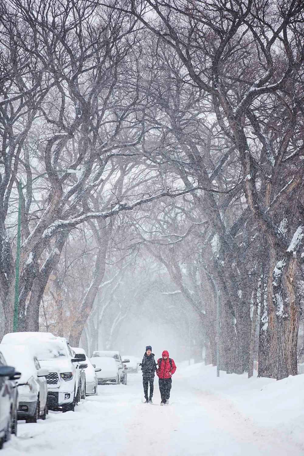 MIKAELA MACKENZIE / WINNIPEG FREE PRESS
The city will monitor the accumulation of snow and make further snow-clearing operational decisions.