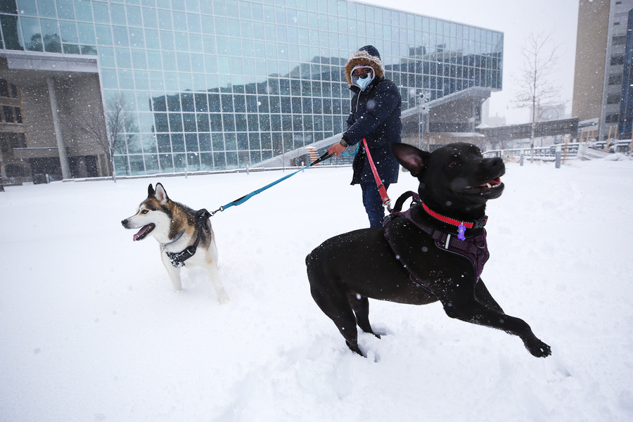MIKE DEAL / WINNIPEG FREE PRESS
Louis Rodriuez walks Dustin (left) and Gotda (right) in the Millennium Library park Wednesday afternoon during the blizzard.