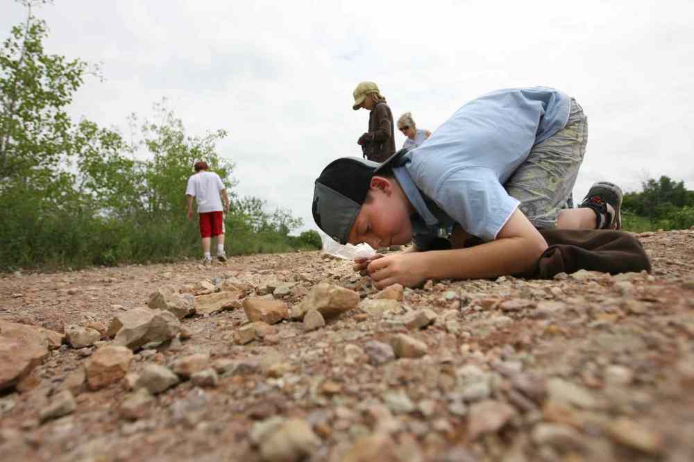 Grade 4: Students discover a piece of Manitoba history as they explore the Stonewall Quarry and search for fossils on a field trip. (Ruth Bonneville / Winnipeg Free Press)