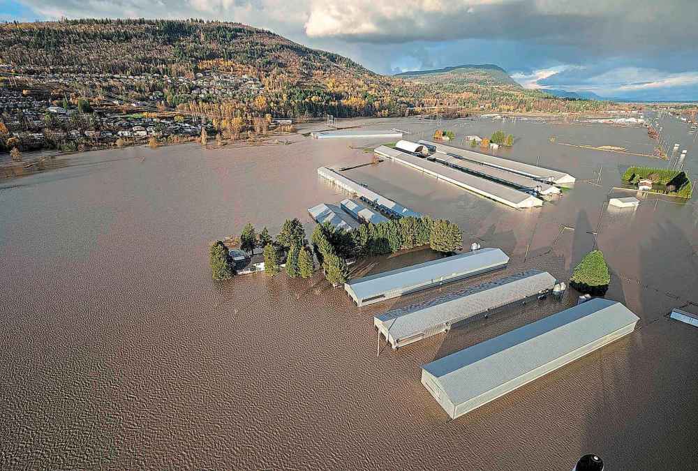 CP
Rising flood waters are seen surrounding barns in Abbotsford, B.C., Tuesday, Nov. 16, 2021. THE CANADIAN PRESS/Jonathan Hayward