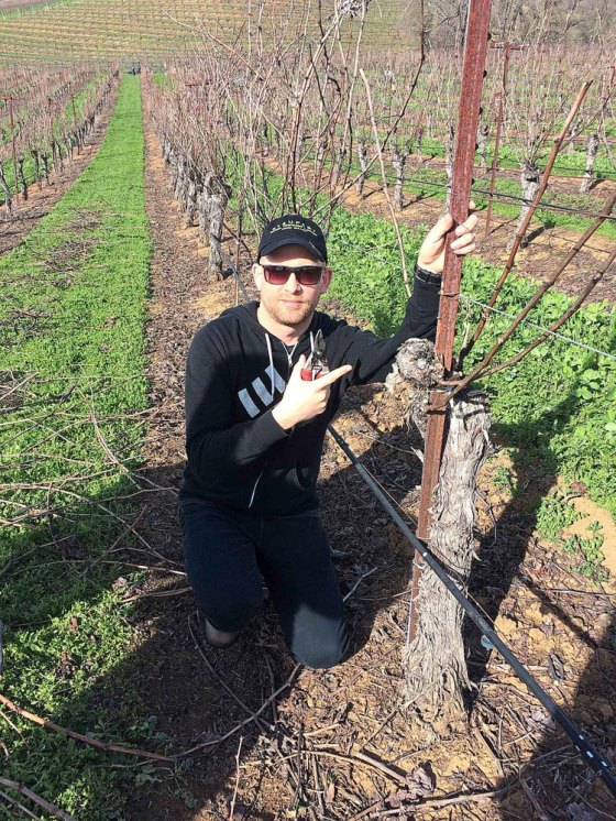 Hacking up some Cabernet Sauvignon vines at St. Supery’s Dollarhide Ranch in Napa Valley in 2016. (Paula Oreskovich photo)