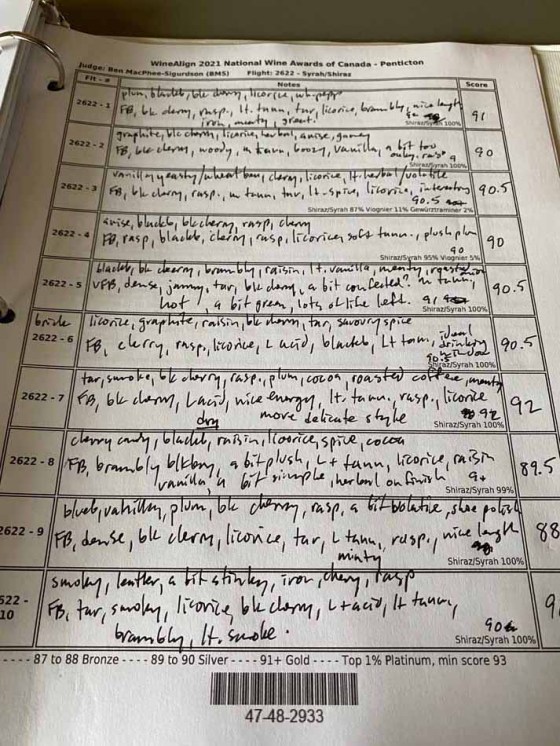 Just one page of a binder full of my chicken-scratch, short-hand tasting notes from the 2021 WineAlign National Wine Awards of Canada. In each box the top line is what I smell in the wine, and the bottom 1-2 lines how it tastes. (Ben Sigurdson / Winnipeg Free Press)