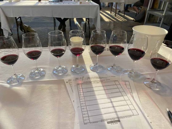Nothing like starting your day with a lineup of eight big Canadian red blends, then doing that again 9-10 times a day for five days. (Ben Sigurdson / Winnipeg Free Press)