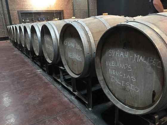 When you visit wineries, your phone also gets filled up with photos of barrels. These ones, photographed in 2017, are filled with red Argentine goodness. (Ben Sigurdson / Winnipeg Free Press)