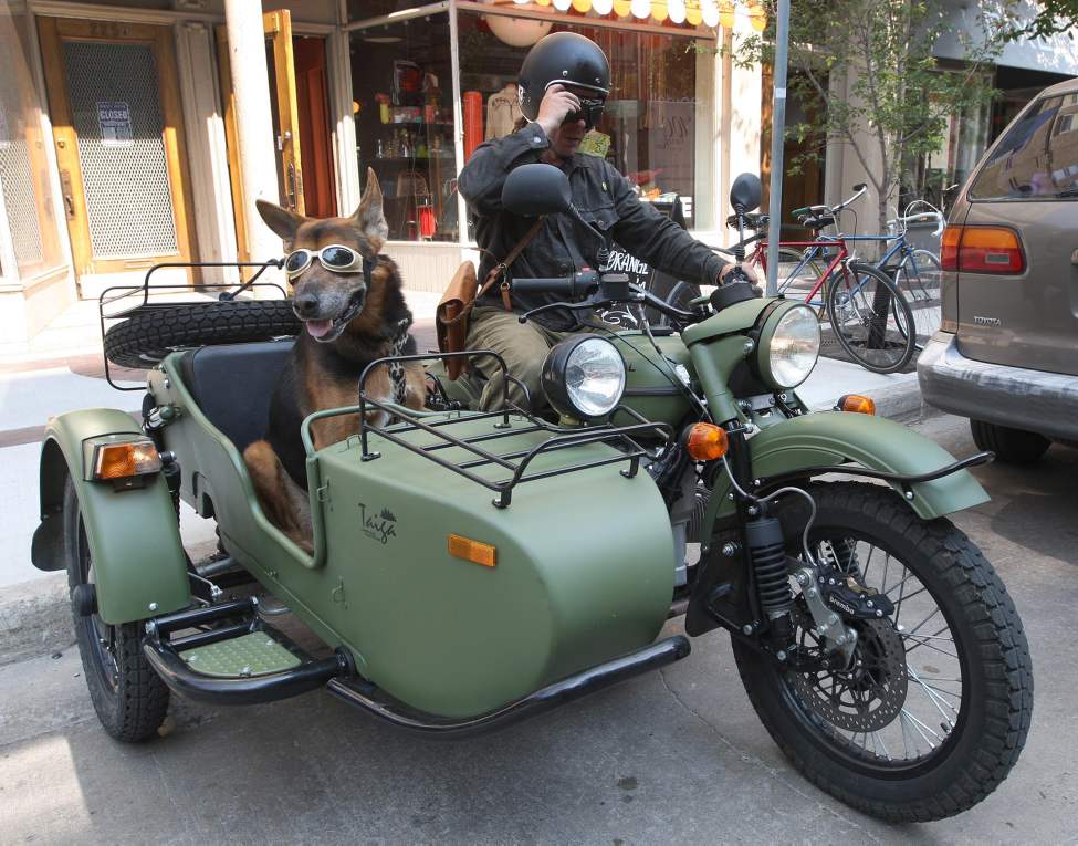 Lets Roll - Rowan Horrick gets ready to leave with his dog Doog on his 2011 Ural motorcycle and sidecar on McDermot Avenue.
Thursday, August 30, 2012
(JOE BRYKSA / WINNIPEG FREE PRESS)