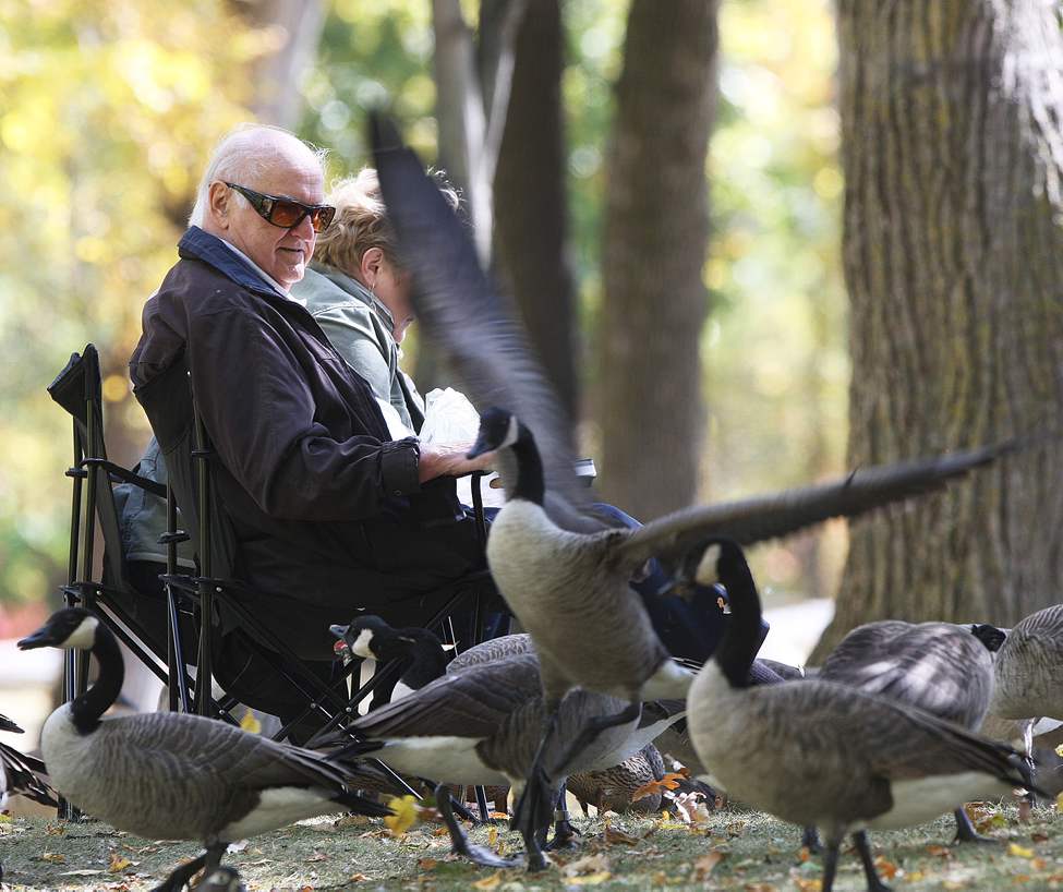 Merv Pollock and Joanne enjoy feeding the geese in St. Vital Park enjoying a lovely fall day in Winnipeg.
Monday, September 24, 2012
(JOE BRYKSA / WINNIPEG FREE PRESS)