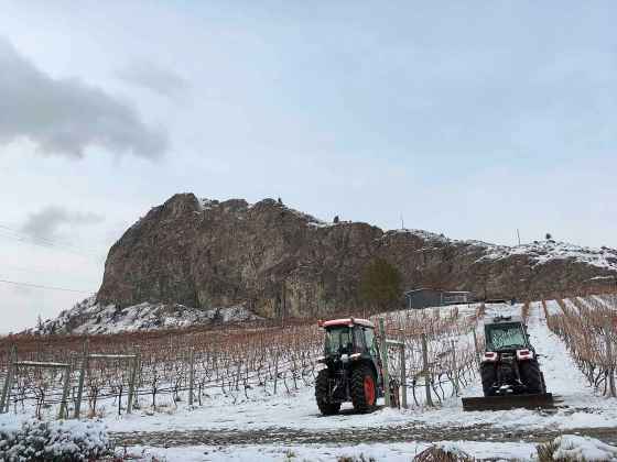 Wine country in winter can be just as beautiful as in warmer months, as is evident in this photo of Meyer Family Vineyards’ McLean Creek Vineyard in the Okanagan Valley. (Ben Sigurdson / Winnipeg Free Press files)
