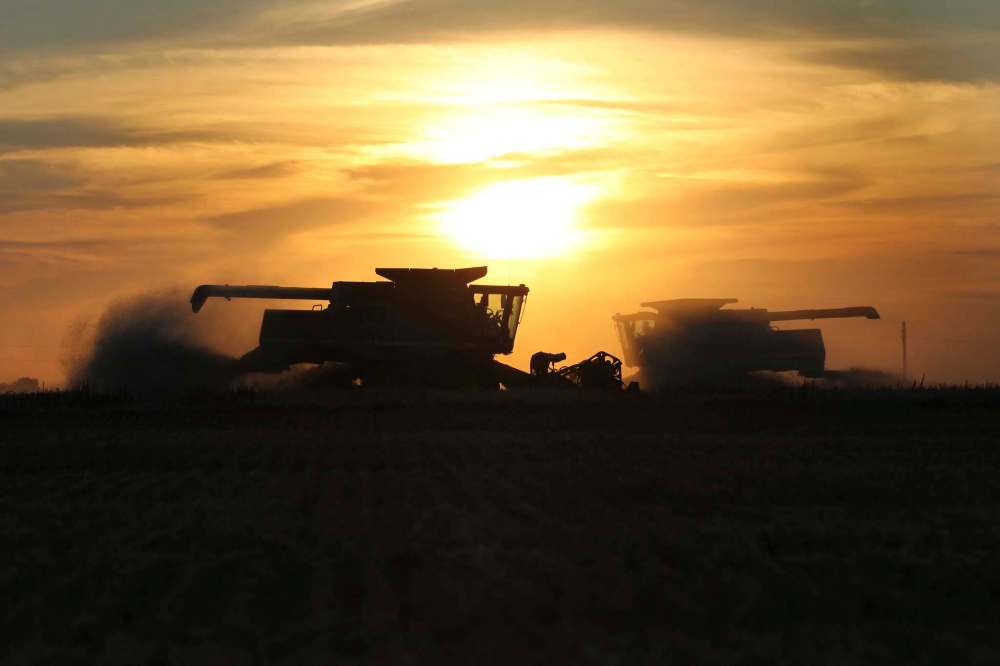 Combines look like massive, tank-like, machines passing each other in the evening light leaving only billows of dust and chaff in their wake.