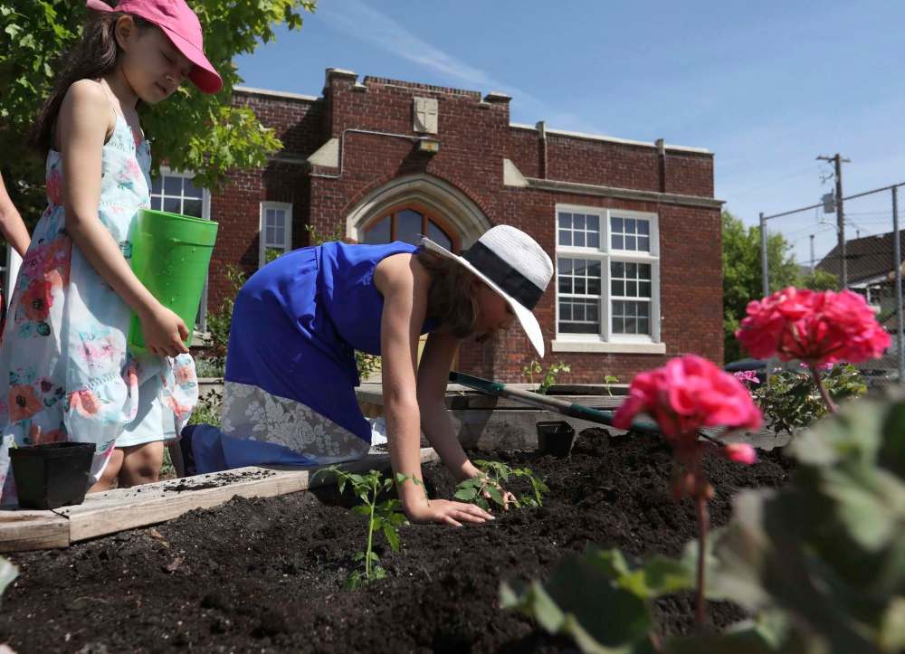 Students tend to the school’s garden.