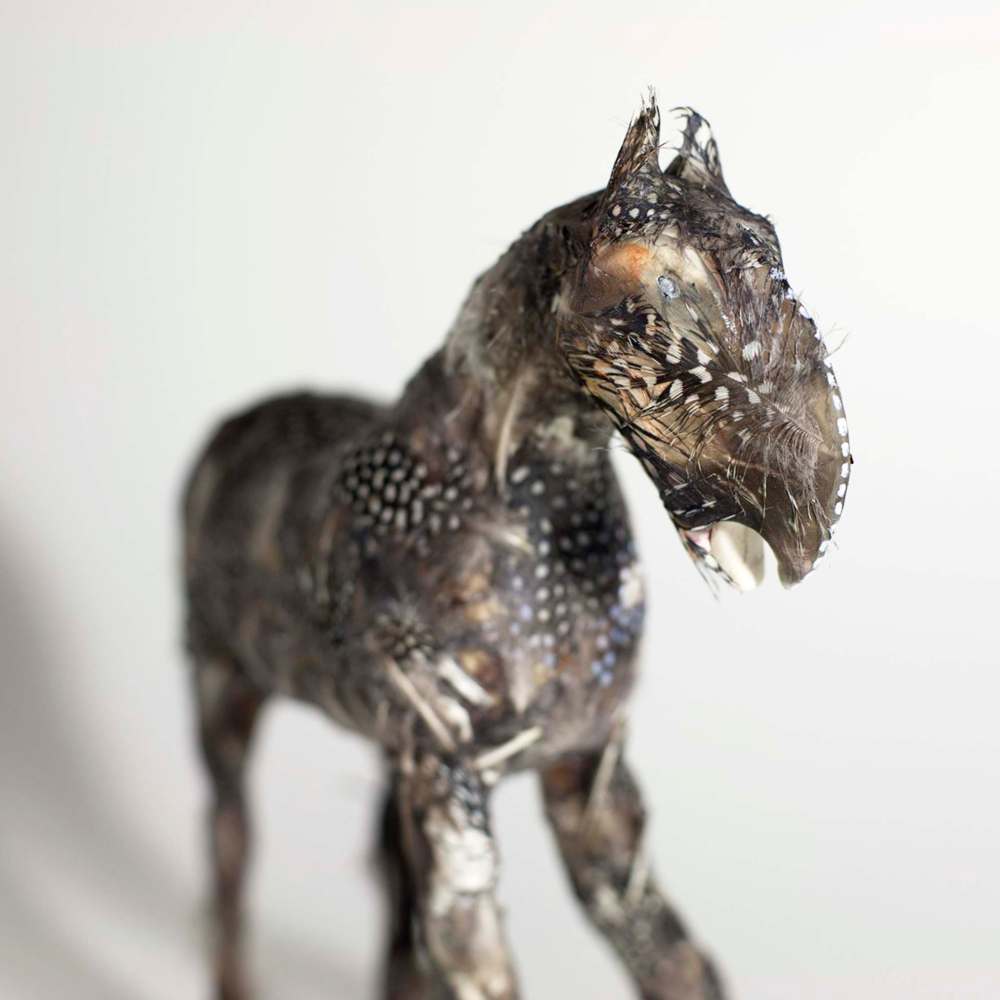 COURTESY DIANA THORNEYCROFT
Horse with feathers detail