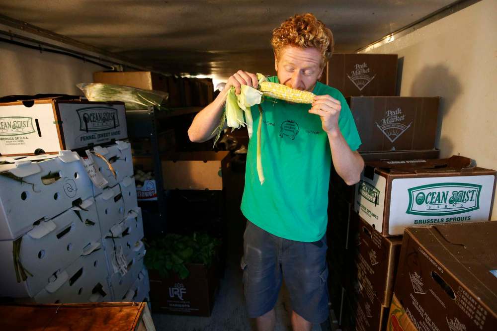 Colin Rémillard, co-owner of St-Léon Garden, tests the freshness of some corn in the refrigerator.