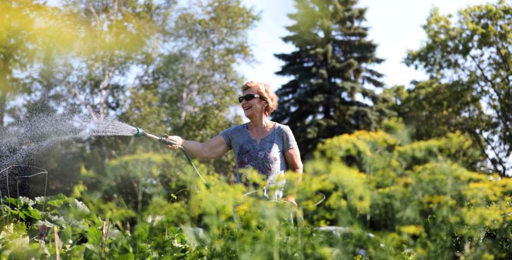 Darlene Karp waters the gardens.