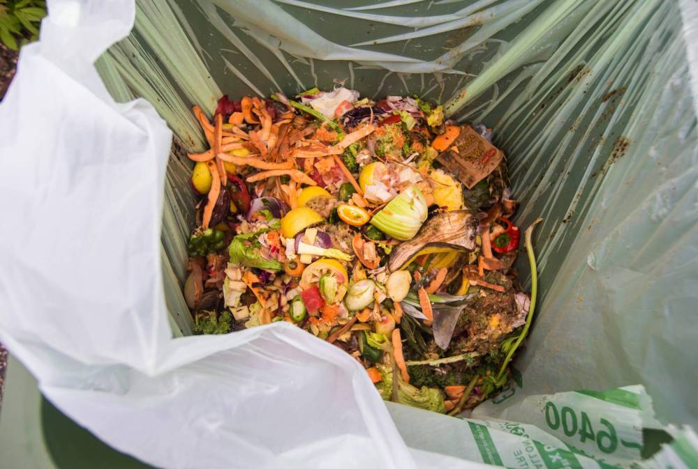 MIKAELA MACKENZIE / WINNIPEG FREE PRESS
The contents of a Compost Winnipeg bin (from a juice bar) in Winnipeg.