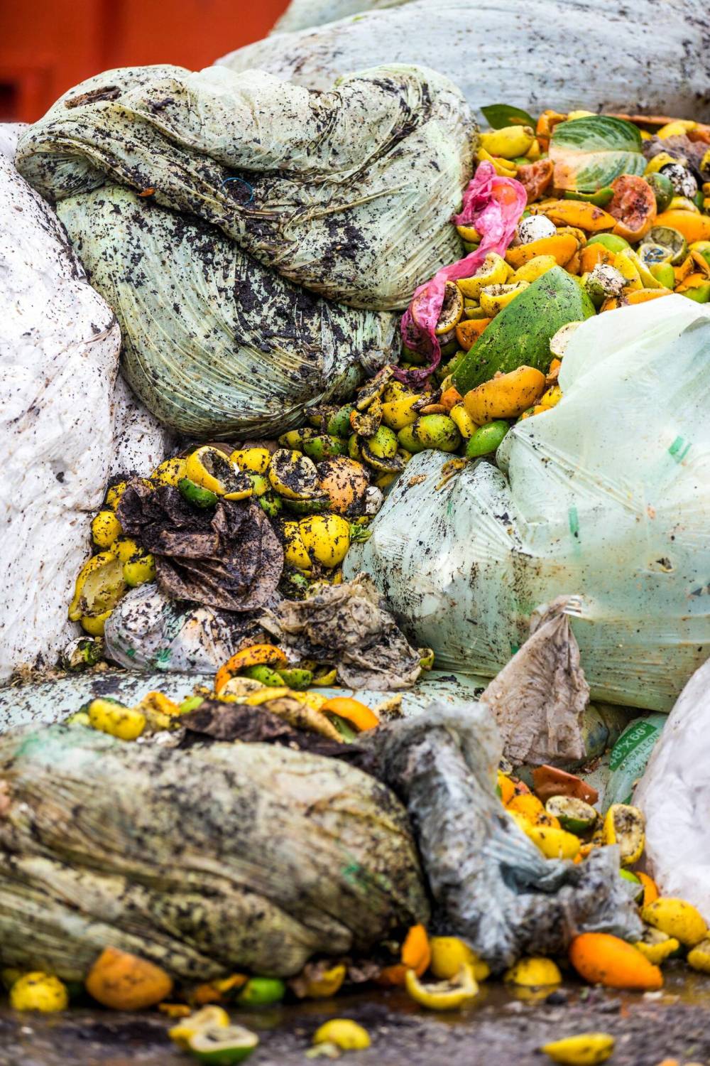 MIKAELA MACKENZIE / WINNIPEG FREE PRESS
The contents of a Compost Winnipeg drop-off at Prairie Green Landfill, where it gets composted, in Winnipeg.