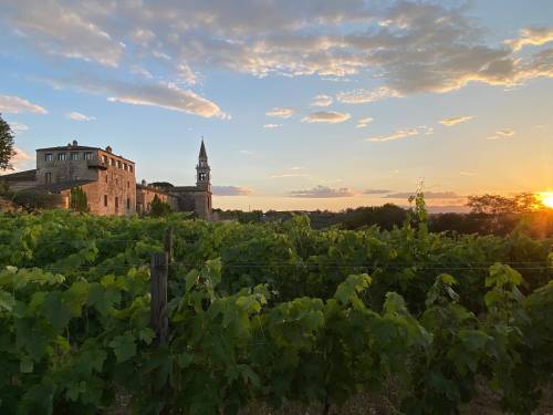 Ben Sigurdson / Winnipeg Free Press
The gorgeous Masciarelli winery is seen at sunset, with rows of Montepulciano wines in the foreground.