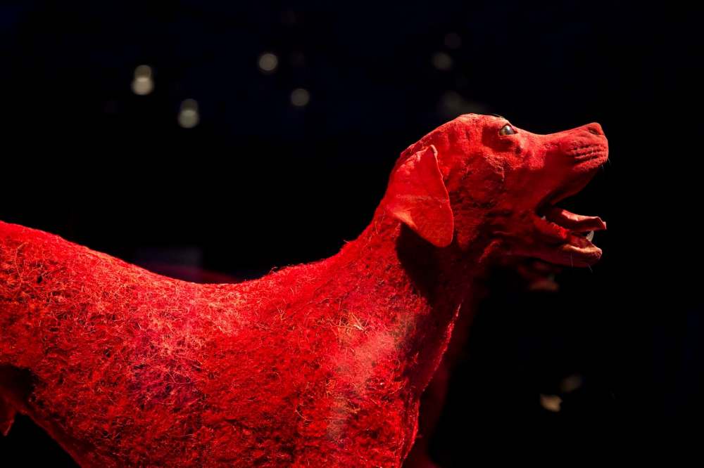 A dog.