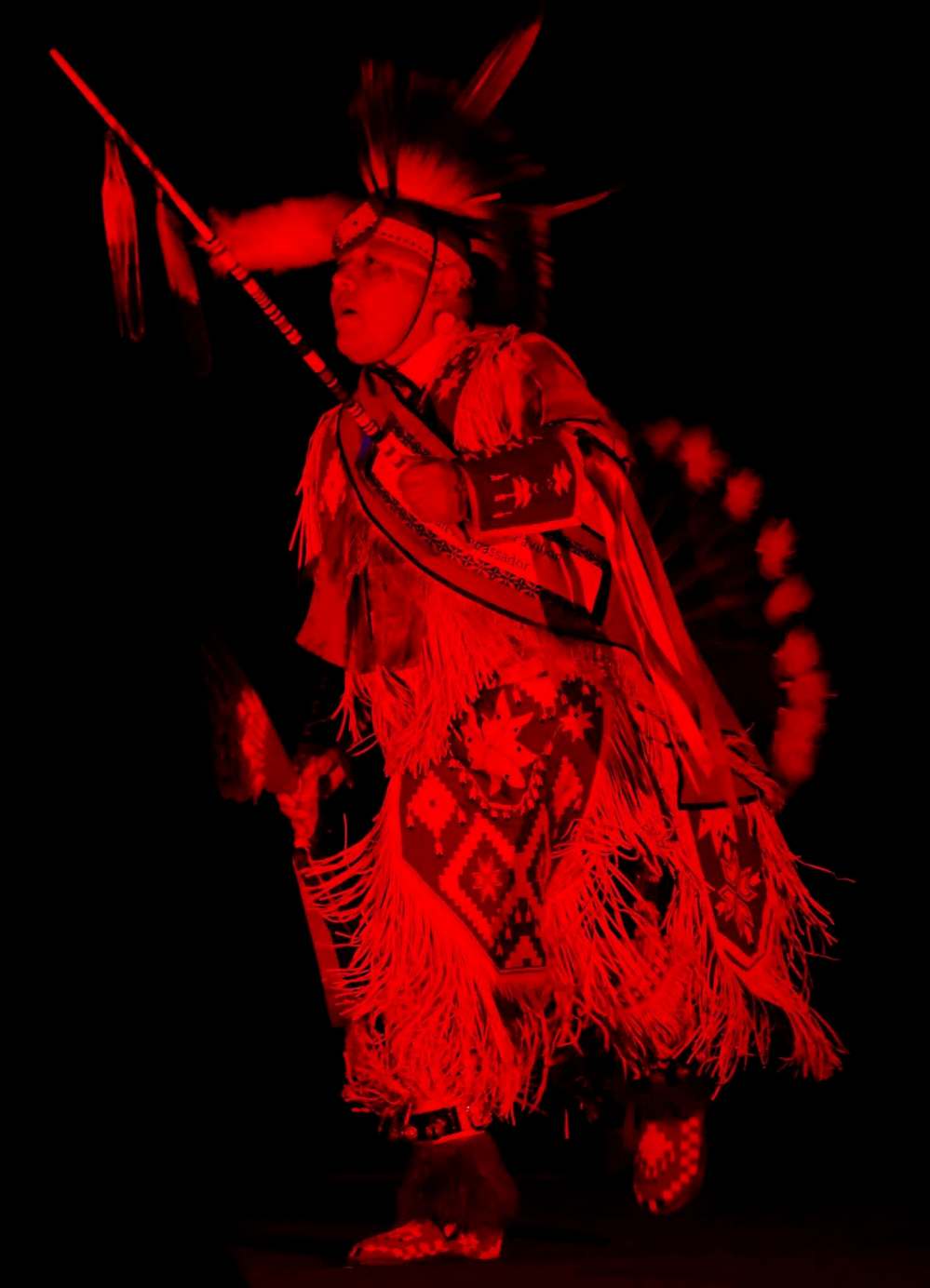 Dancers perform at the First Nation pavilion.