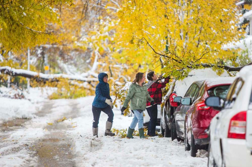 MIKAELA MACKENZIE / WINNIPEG FREE PRESS
Margarete Moulden (left), Theresa Proctor, and Morgan MacDonell take a tree limb off of Theresa's vehicle in Wolseley on Saturday.