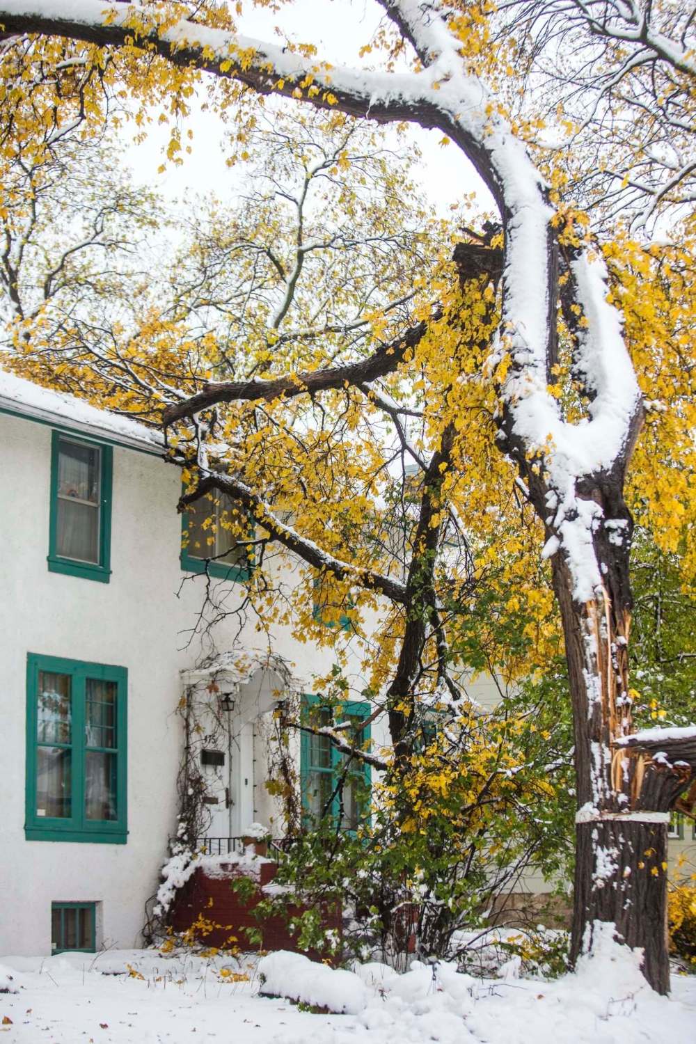 MIKAELA MACKENZIE / WINNIPEG FREE PRESS
A branch has fallen onto a house on Dominion Street on Saturday.