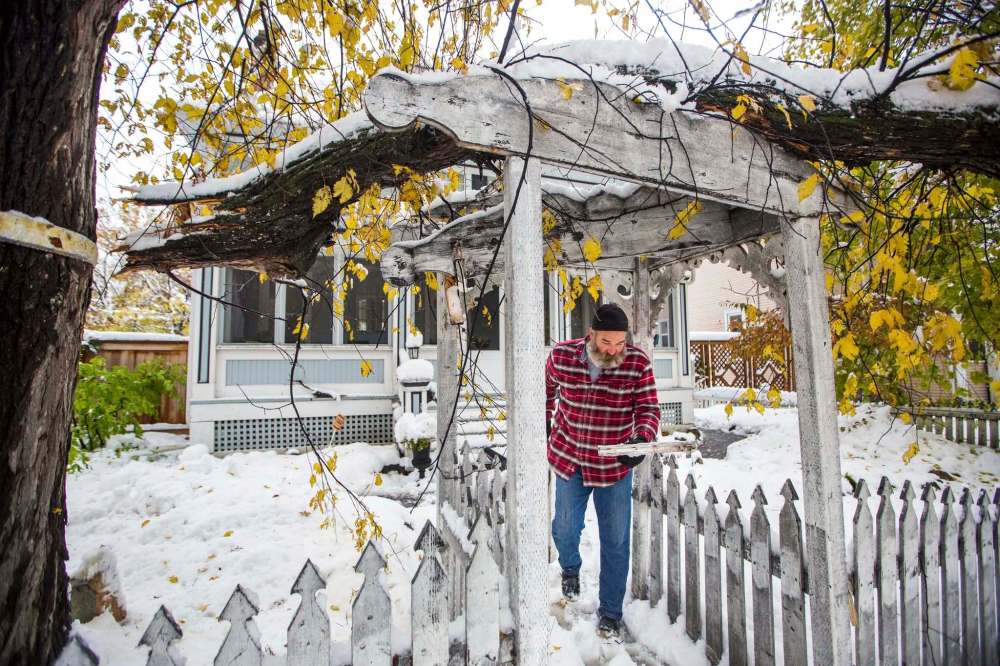 MIKAELA MACKENZIE / WINNIPEG FREE PRESS
Derek Hampton walks under his broken arbor in Wolseley on Saturday.