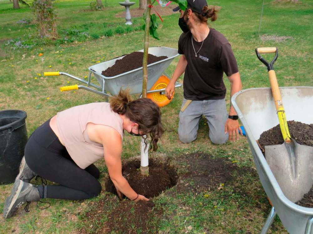 Lacoste’s Brooklyn Holbrow, left, and Liam Thomson dig a planting hole to the proper depth.