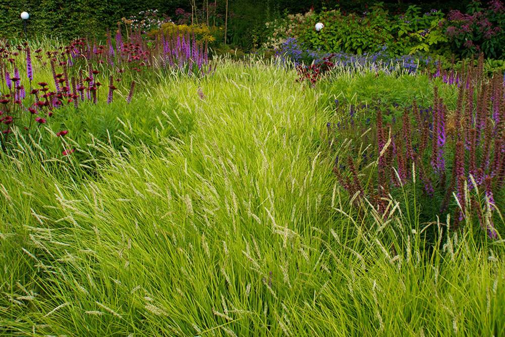 Piet Oudolf
The new garden at Mennonite Heritage Village will feature a matrix of perennials and grasses similar to the gardens designed by Dutch landscape designer, Piet Oudolf.