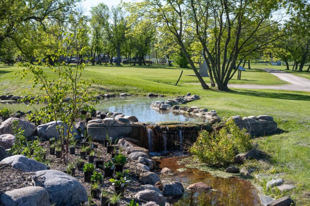 Dennis Fast
Native plants will enhance the natural setting at the Dirk Willems Garden which includes a pond and artesian well.