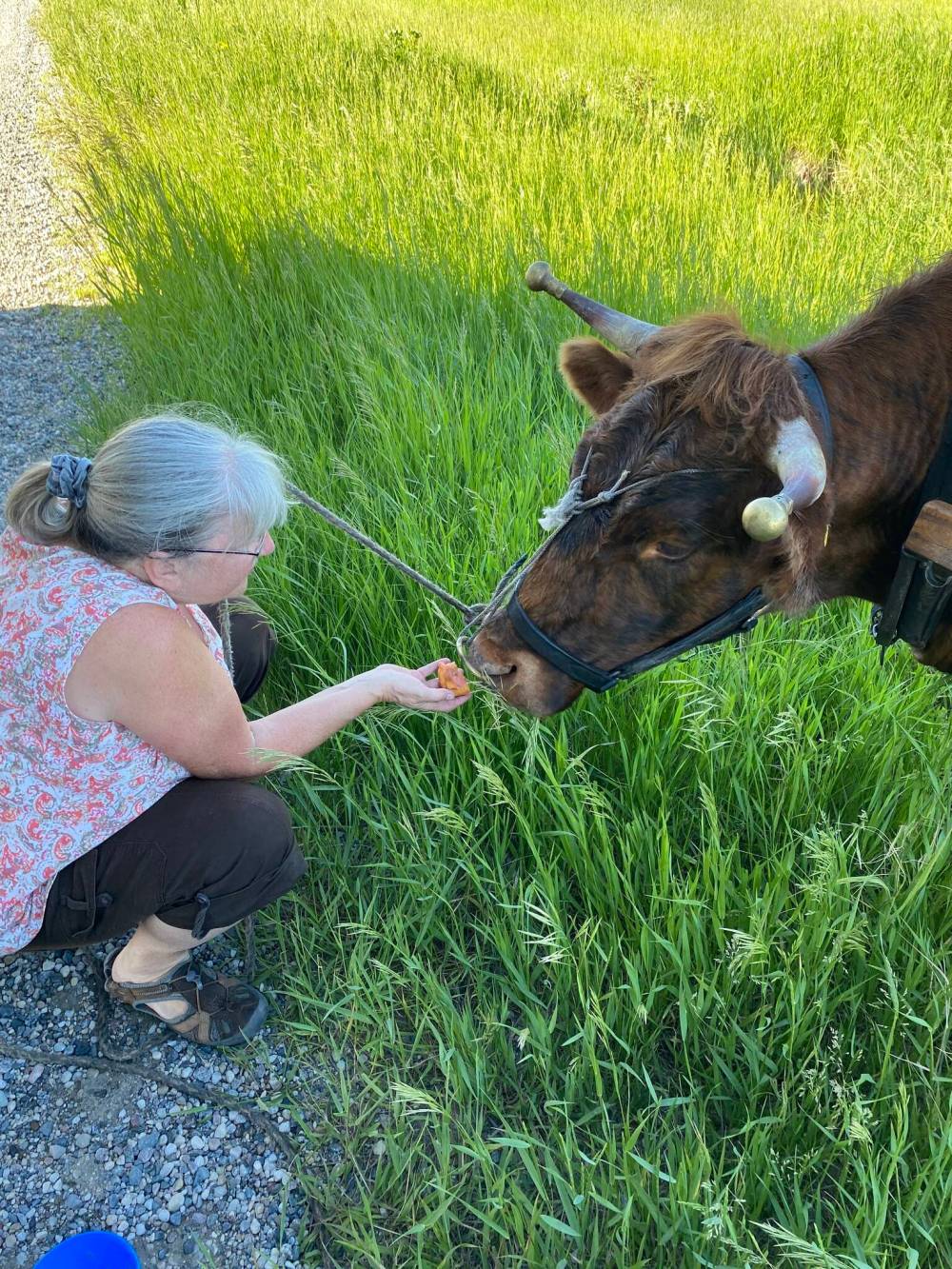SUPPLIEDPatty offers Zik a treat.