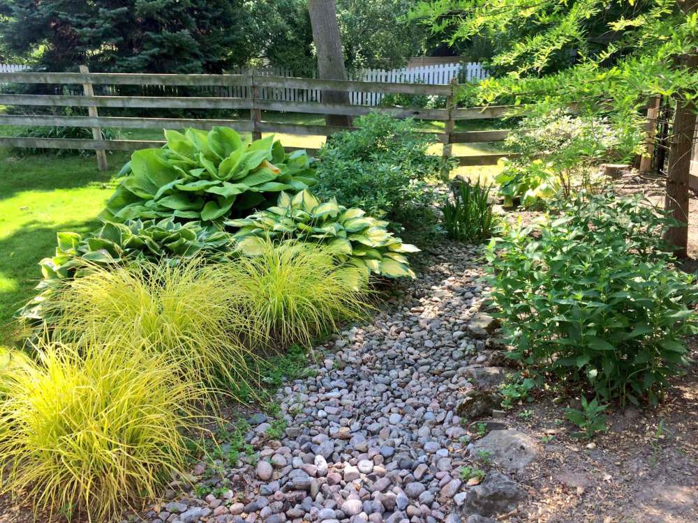 Variety equals resilience. Don’t overuse the same plants in your rain garden, instead play and experiment with bold colours and foliage.