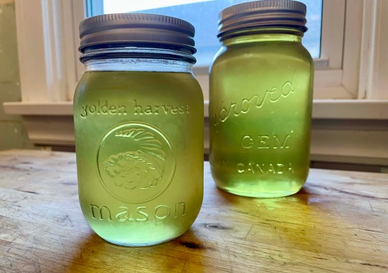 Two cups of dandelion petals turned into four cups of syrup. (Supplied)