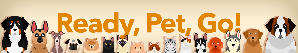 Ready Pet Go