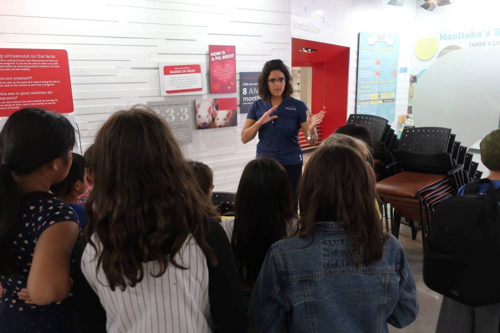 Supplied photo
A Manitoba Pork staff member teaches youth ages 10 to 12 about hog farming.