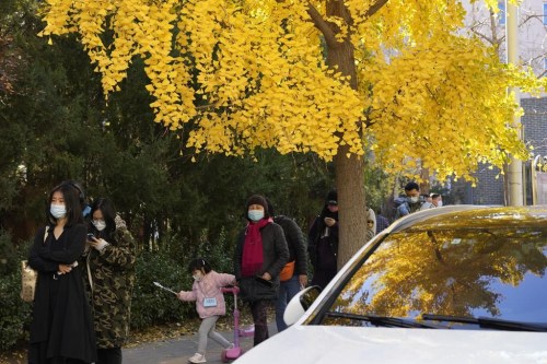 Residents wearing masks line up for COVID tests in Beijing, Tuesday, Nov. 15, 2022. China's ruling party called for strict adherence to the hard-line 