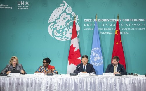 From left, Inger Andersen, Executive Director, UN Environment Programme, Elizabeth Maruma Mrema, Executive Secretary, UN Convention on Biological Diversity, Huang Runqiu, President, COP15 and Minister of Ecology and Environment of China and Steven Guilbeault, Minister of Environment and Climate Change, Canada, attend the opening news conference of COP15 the UN Biodiversity Conference in Montreal, Tuesday, Dec. 6, 2022. THE CANADIAN PRESS/Graham Hughes