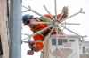 MIKE DEAL / WINNIPEG FREE PRESS
Dressing the streets for the holidays.
Dustin Kipling a technician from MyTEC installs a snowflake light on a light standard on Main Street close to Higgins Avenue Wednesday morning.
See AV Kitching story 
221109 - Wednesday, November 09, 2022.