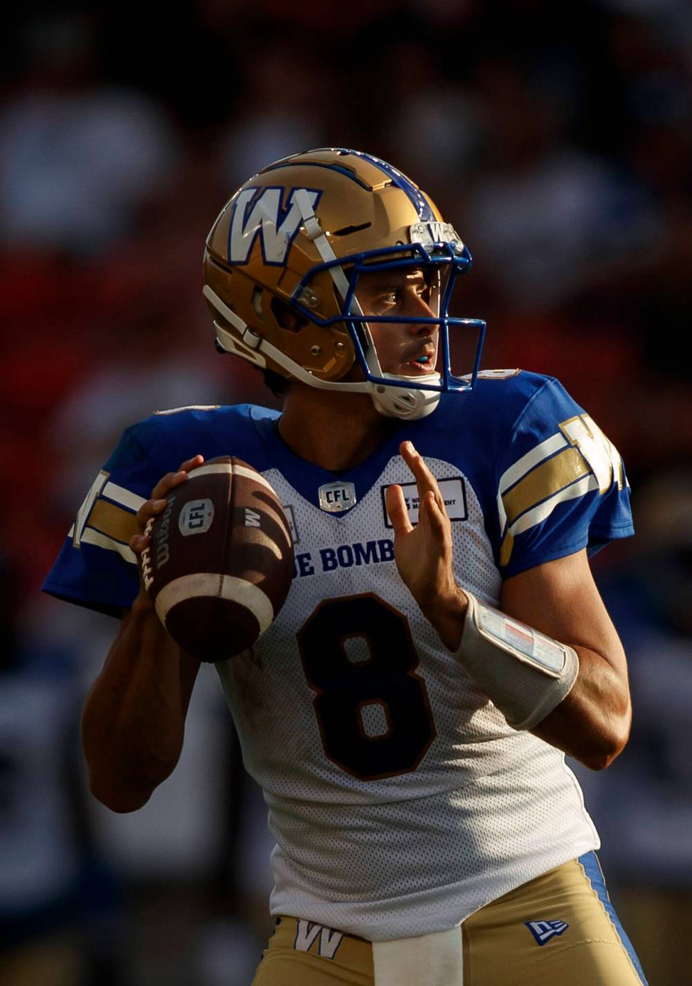 Collaros has become a fan favourite in Winnipeg. (The Canadian Press files)