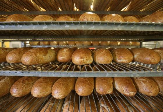 Unsliced loaves of Red River-style rye bread cool at KUB Bakery in 2016. (Jason Halstead / Winnipeg Free Press files)