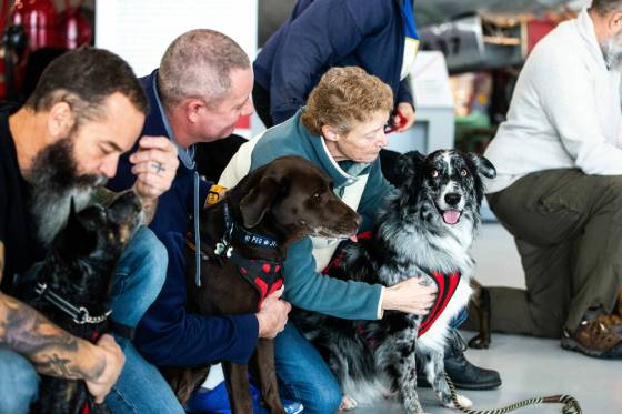 Veterans and their dogs at the Royal Aviation Museum of Western Canada in Winnipeg on Wednesday. (Mikaela Mackenzie / Winnipeg Free Press)