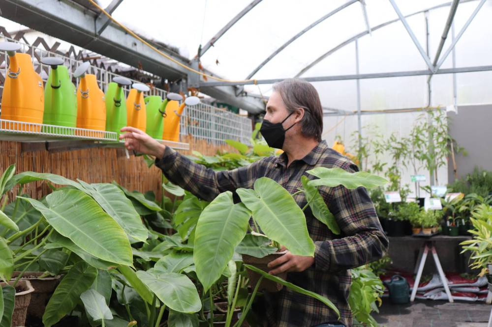 Dave Hanson has operated greenhouses at 3410 St. Mary’s Rd. with his wife Ev Yauk since 2000. (Tyler Searle / Winnipeg Free Press)
