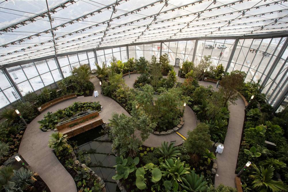 DANIEL CRUMP / WINNIPEG FREE PRESS
From a walk way near the top of the spire visitors can look down on the tropical biome at the Leaf. Eventually the vegetation will grow tall enough that visitors will be walking in the canopy.