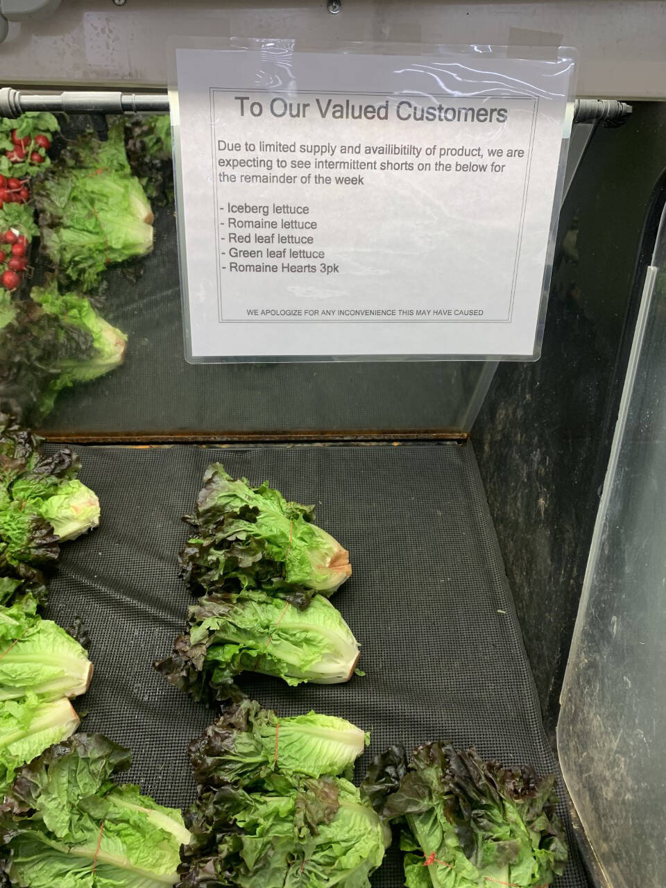 Matt Goerzen / The Brandon Sun files
Restaurants aren’t the only businesses hit by the lettuce shortages. This Superstore in Brandon is warning customers to expect reduced availability of various types of lettuce.
