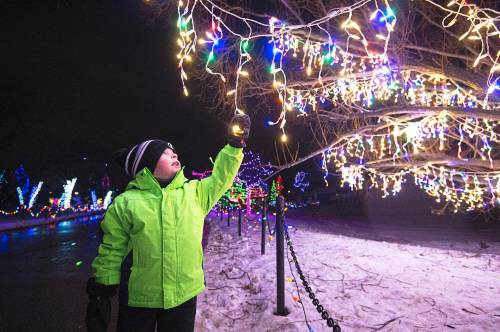 Mike Sudoma / Winnipeg Free Press Kaiden Bockstael reaches for a string of lights hanging from a tree at the Zoo Lights at the Assiniboine Park Zoo Friday night November 26, 2021