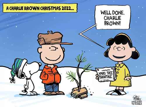 Editorial cartoon for Dec. 1, 2022