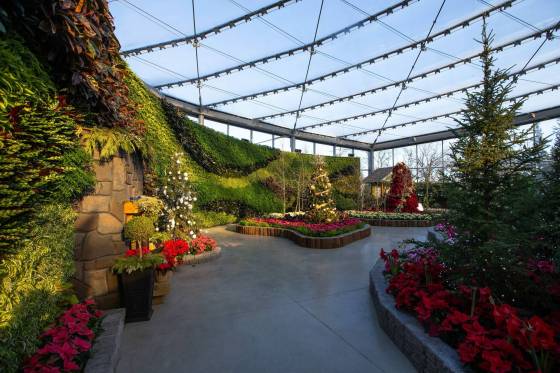 The Babs Asper Display House will feature a rotating schedule of floral displays that will change four to five times per year, exploring seasonal and global themes. (Daniel Crump / Winnipeg Free Press)